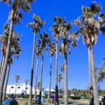 辻堂海浜公園